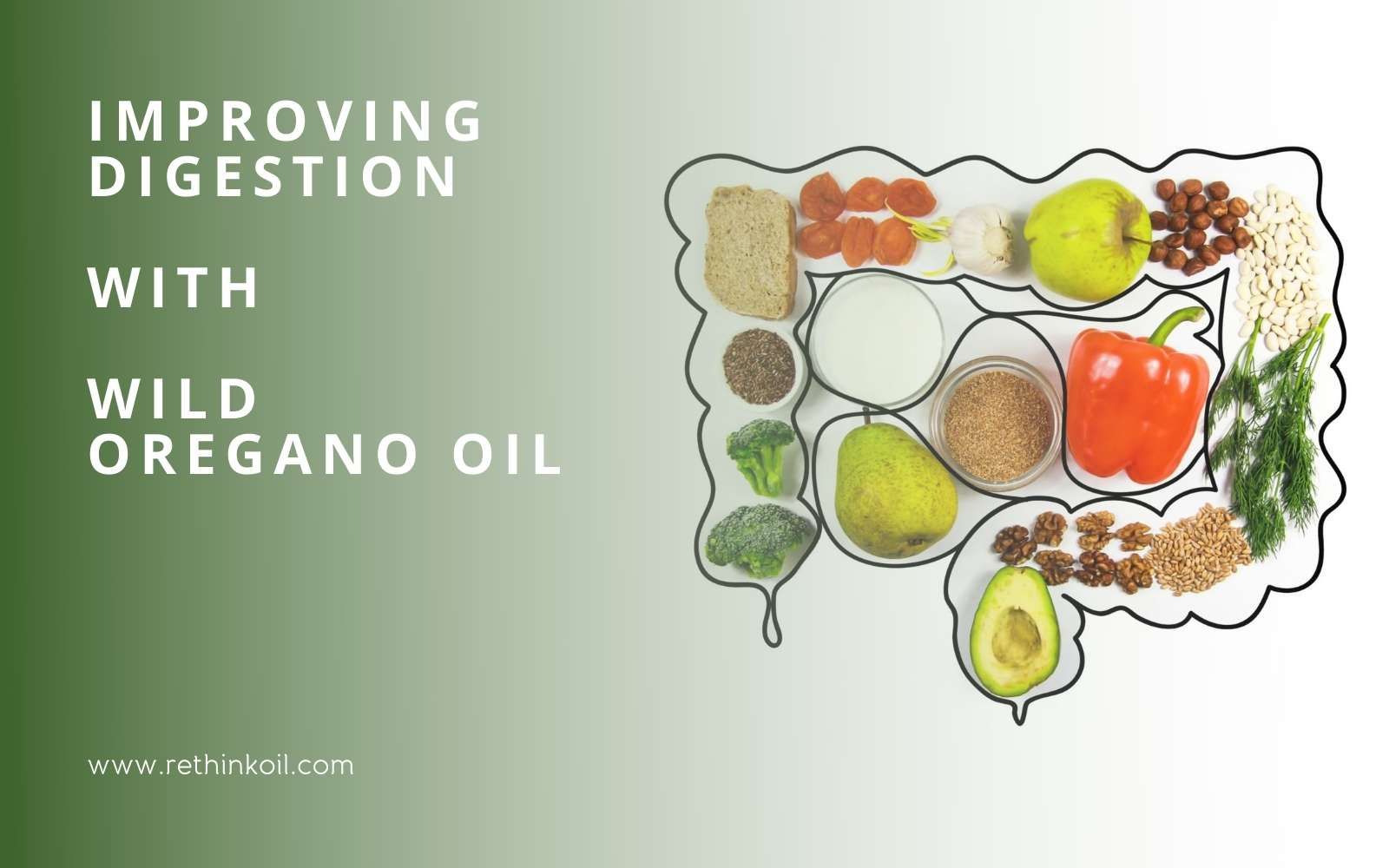 ReThinkOil Blog Improving Digestion with Wild Oregano Oil