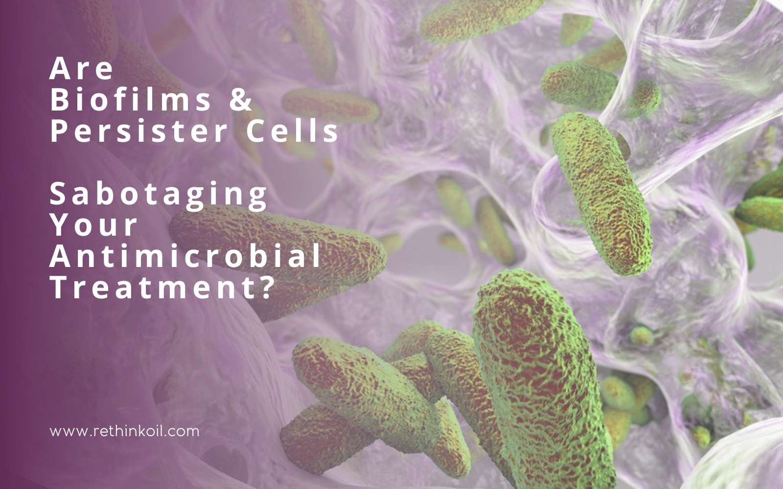 ReThinkOil Blog Are Biofilms & Persister Cells Sabotaging Your Antimicrobial Treatment?