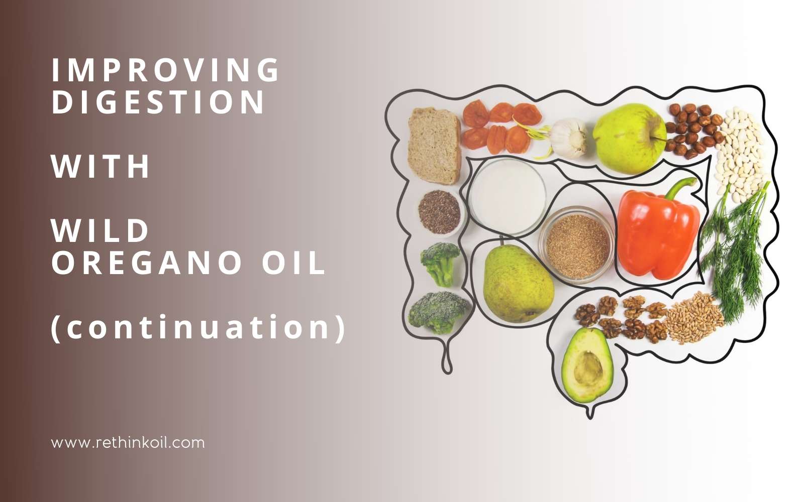 ReThinkOil Blog Improving Digestion with Wild Oregano Oil Continuation