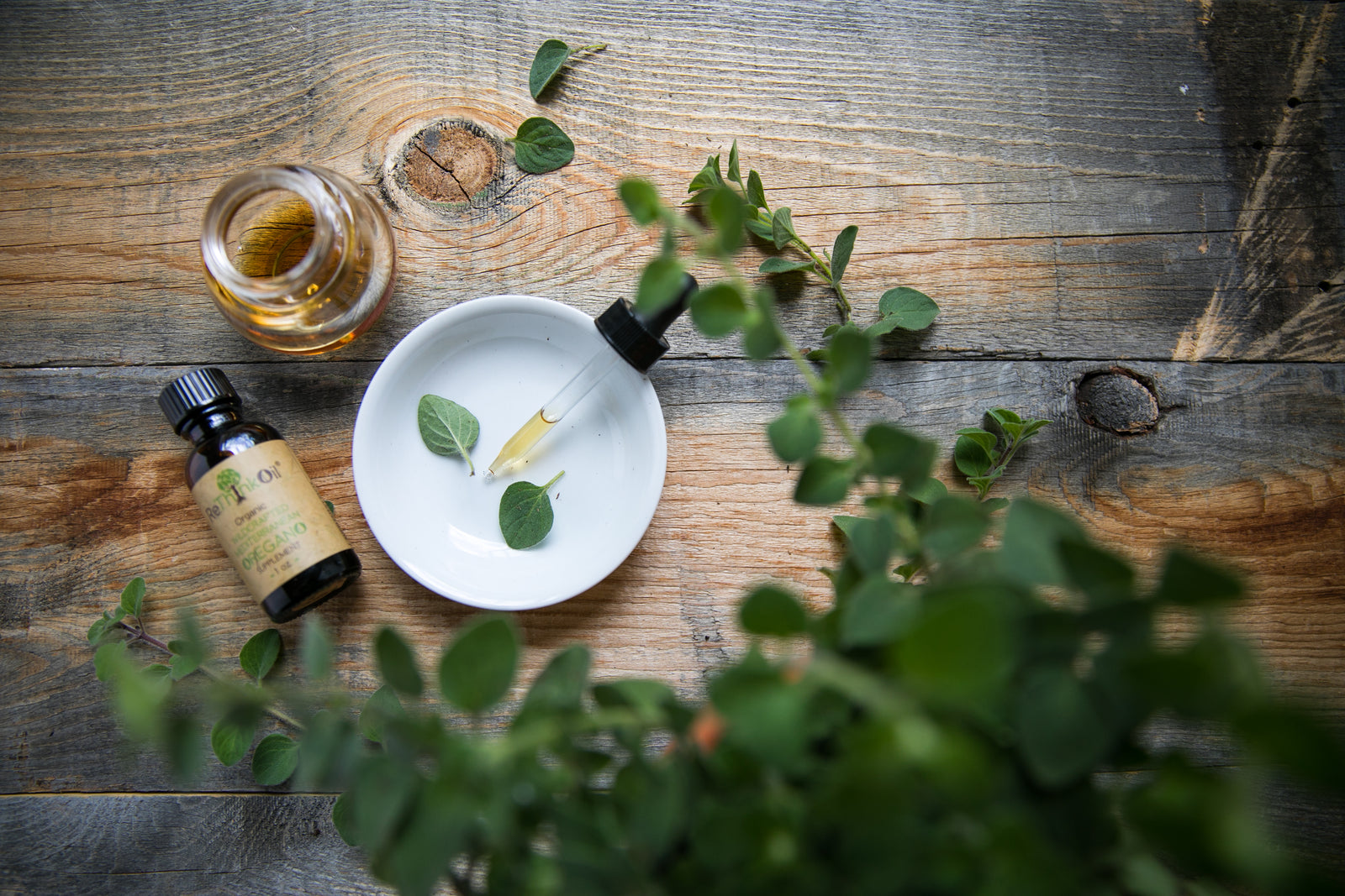 ReThink Oil Oregano Oil oregano plant origanum minutiflorum