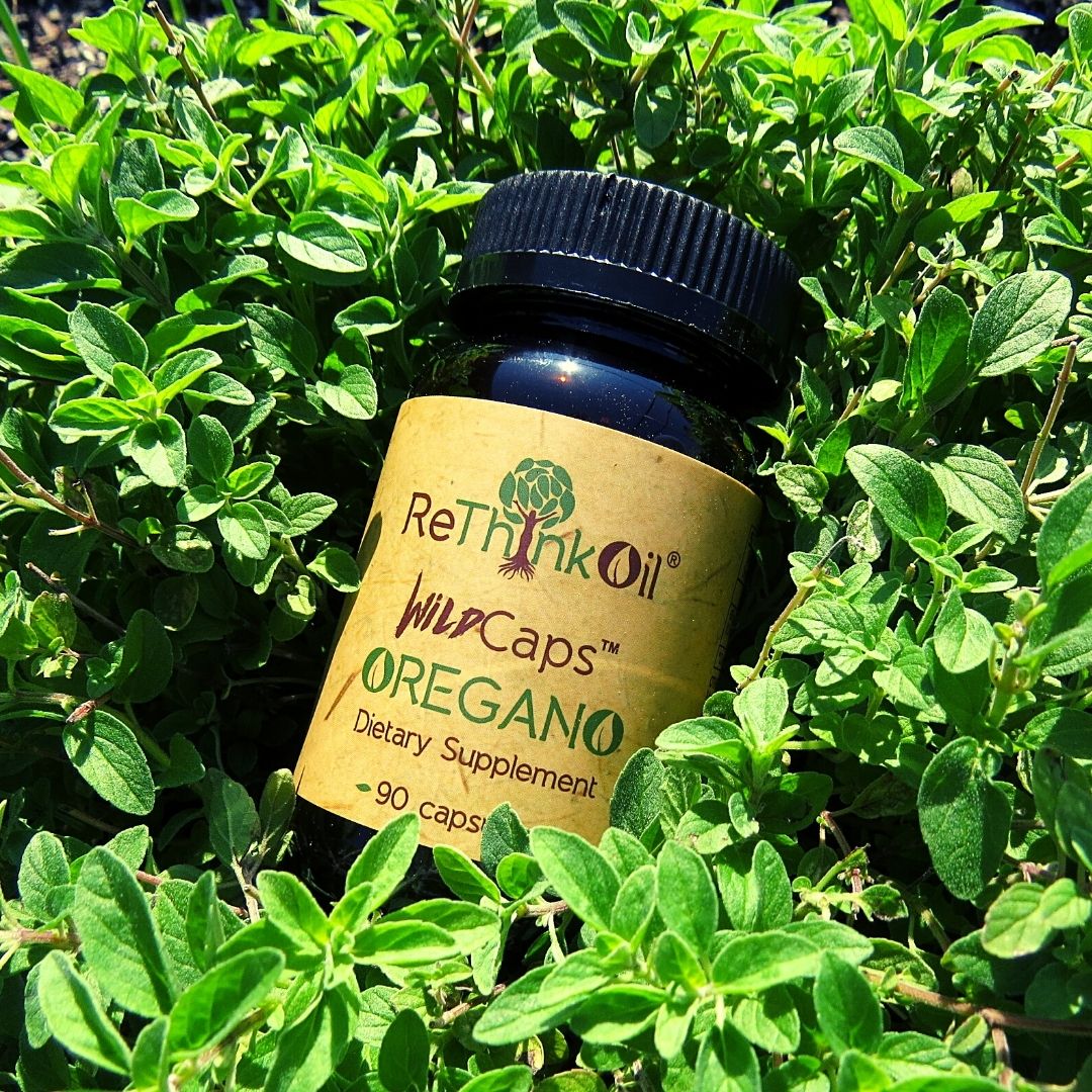 ReThinkOil Pure Wild Mediterranean Oregano Oil Capsules Origanum Minutiflorum